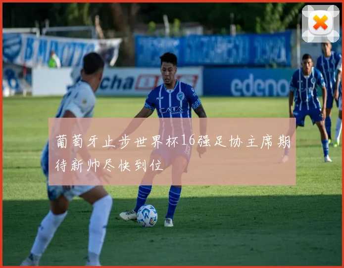 葡萄牙止步世界杯16强足协主席期待新帅尽快到位
