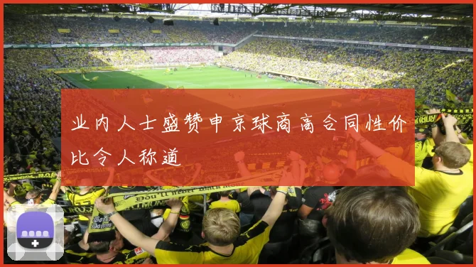 业内人士盛赞申京球商高合同性价比令人称道